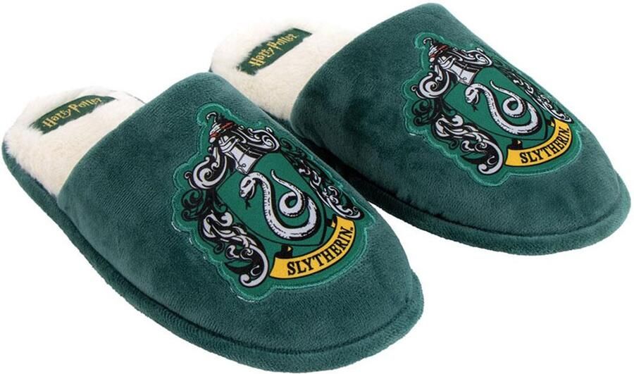 Cerda Harry Potter Harry Potter Gryffindor Pantoffels Groen Man
