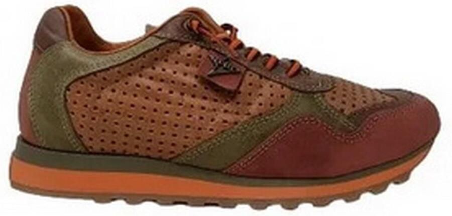 Cetti instappers bruin
