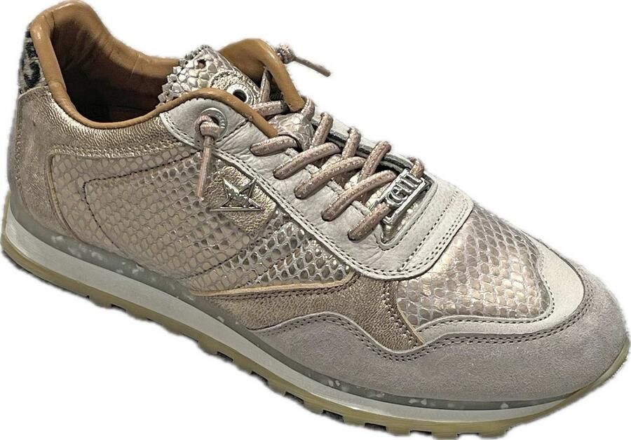Cetti instappers goud