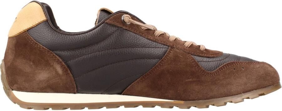 Cetti INV27 Bruin
