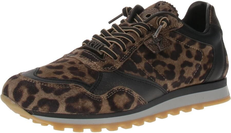 Cetti SRA INV26 Damestrainers Leopardo-Sander