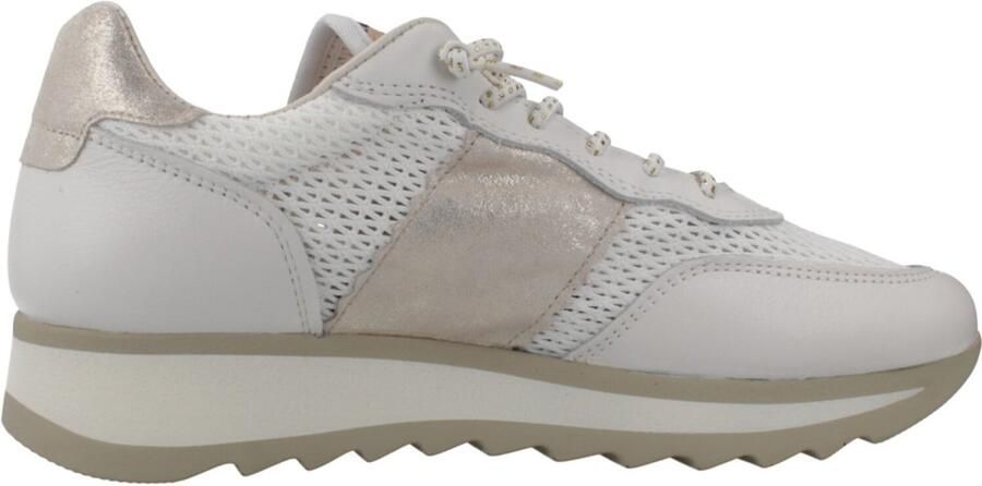 Cetti Sneakers C849sra Rej