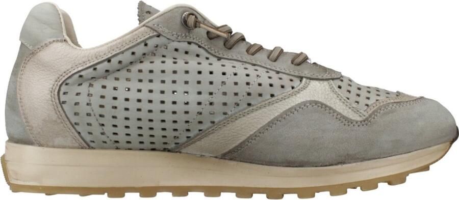 Cetti V26 Groen