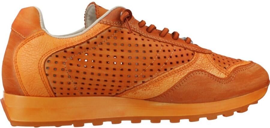 Cetti Lage Sneakers C-848-V26-USED-TIN-AMBAR