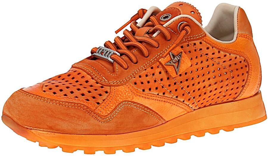 Cetti Lage Sneakers C-848-V26-USED-TIN-AMBAR