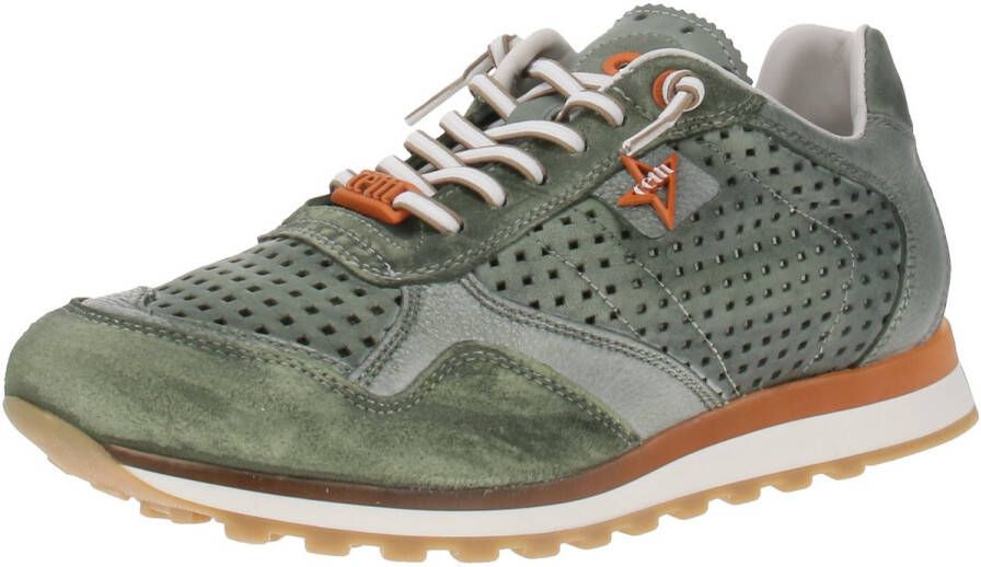 Cetti EXP V25 Herensneaker Gebruikt-Tin-Kombat