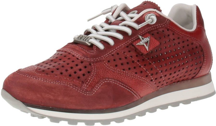 Cetti EXP V25 Herensneaker Tweedehands-Tin-Burdeos