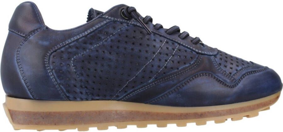 Cetti INV26 Blauw