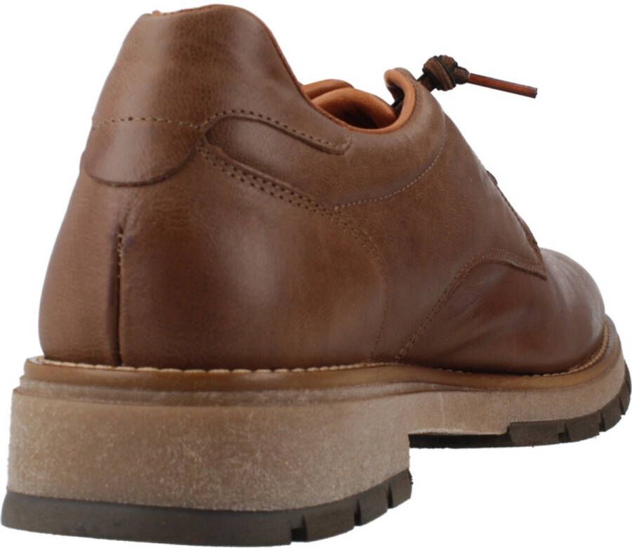 Cetti INV26 Bruin