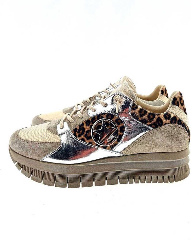 Cetti sneaker beige combi