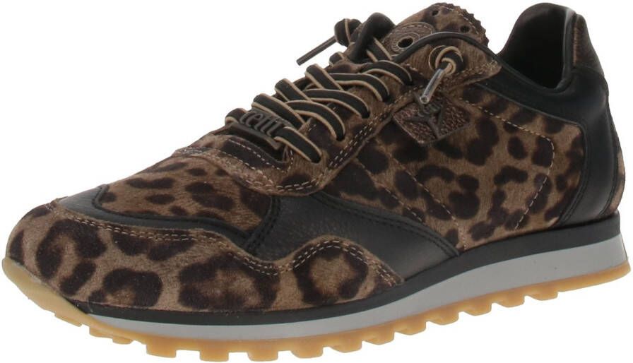 Cetti SRA INV26 Damestrainers Leopardo-Sander