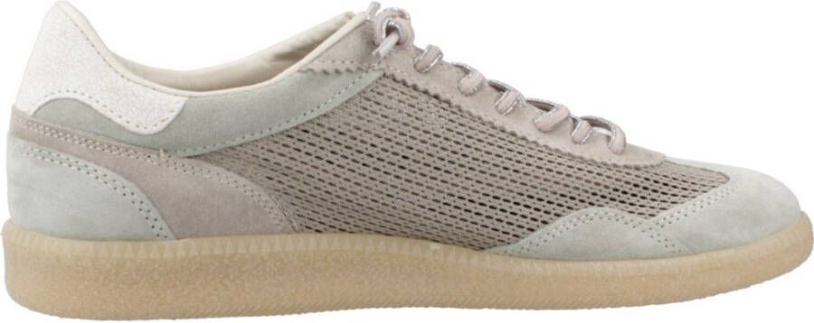 Cetti SRA V25 Groen