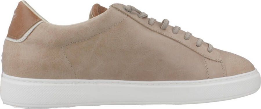 Cetti V25 Bruin