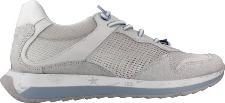 Cetti Sneakers C1382 V25