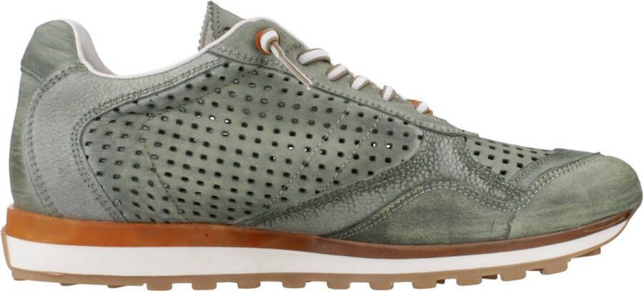 Cetti V25 Groen