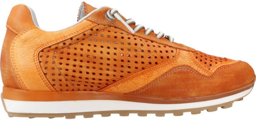 Cetti V25 Oranje