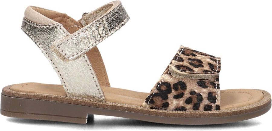 Clic! 9185 Sandalen Meisjes Bruin
