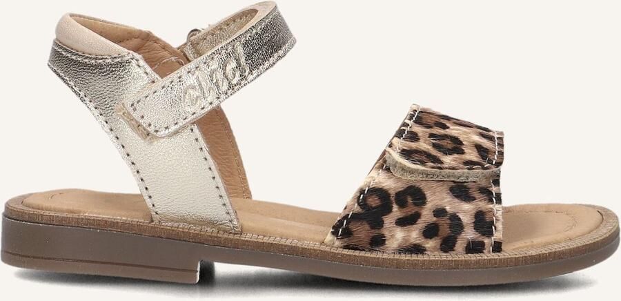 Clic! 9185 Sandalen Meisjes Bruin - Foto 3