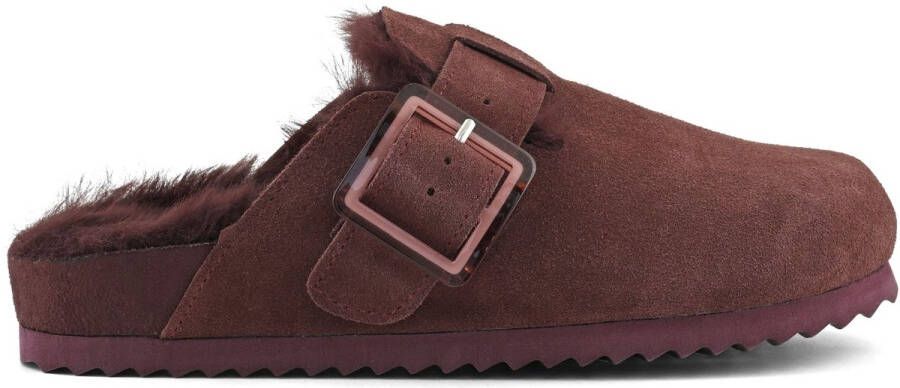 Colors of California Sabot Bordeaux Dames