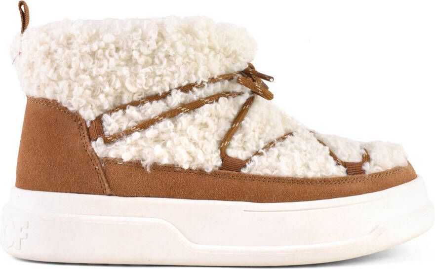 Colors of California Bruin Suede Sneaker