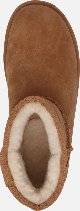 Colors of California Enkellaarsjes cognac 182243 Dames - Foto 8