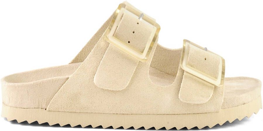 Colors of California Cow Suede Bio With Two Buckles