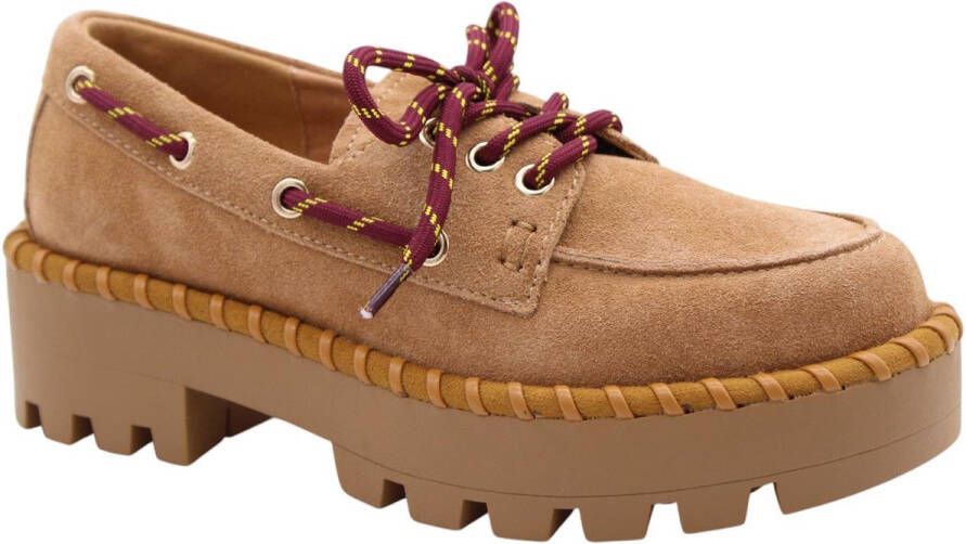Colors of California Mocassin Bruin