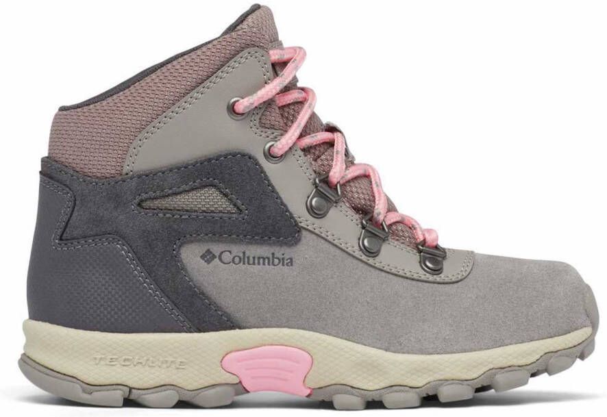 Columbia Newton Ridge™ Amped Wandelschoenen Grijs