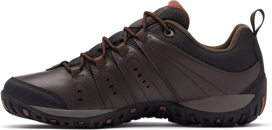 Columbia Peak Freak Woodburn II Wandelschoenen Cat.A Mannen Bruin