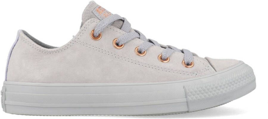 Converse All Stars Suede 161206C Grijs