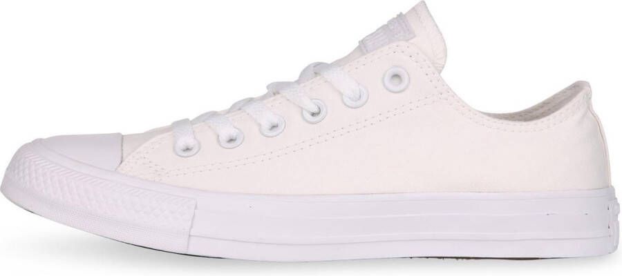 Converse Chuck Taylor All Star Sneakers Laag Unisex White Monochrome