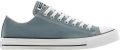Converse CHUCK TAYLOR ALL STAR A15958C Unisex grijze lage sneakers met vetersluiting voor dagelijks gebruik model A15958C - Grijs