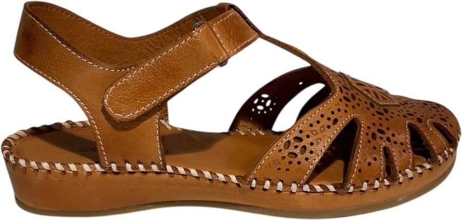 COSMOS 6345802-307 Cognac