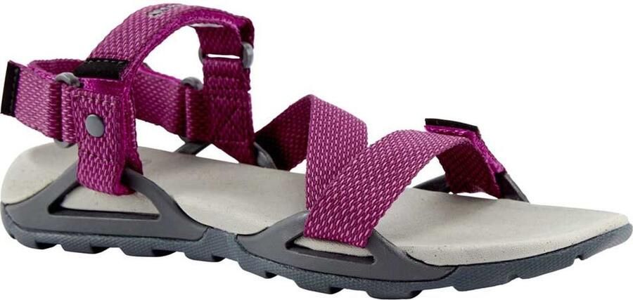 Craghoppers Locke Sandalen Paars Vrouw