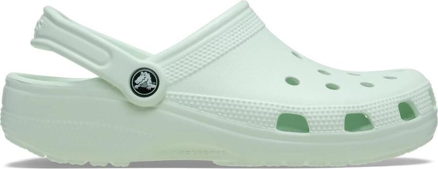 Crocs Classic Clog Unisex Volwassenen Lichtgewicht Comfort Sandalen Groen (Model 10001)