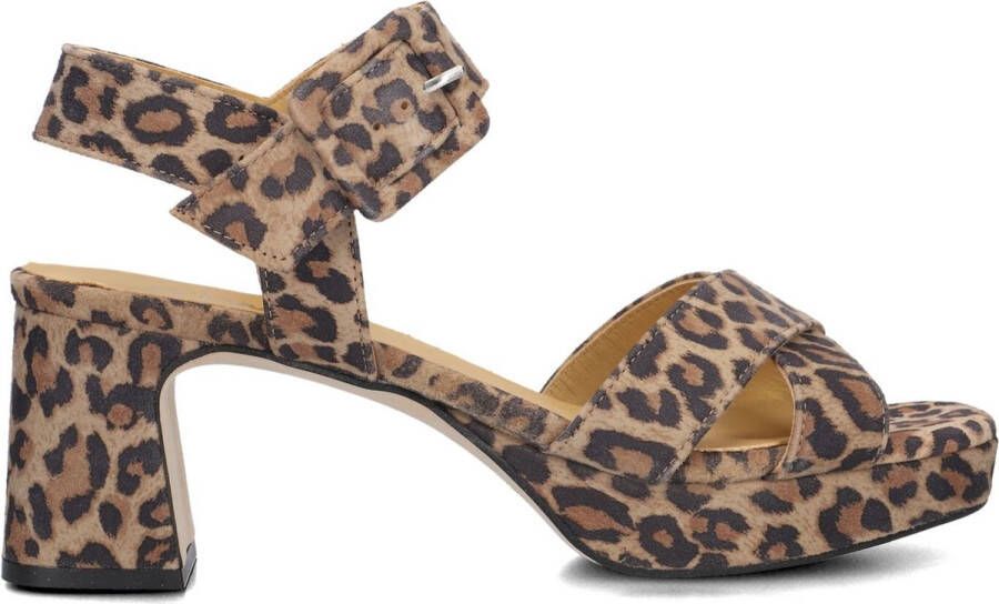 CTWLK Amouch Sandalen Dames Bruin