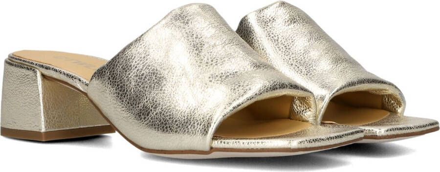 CTWLK Atyler Slippers Dames Goud