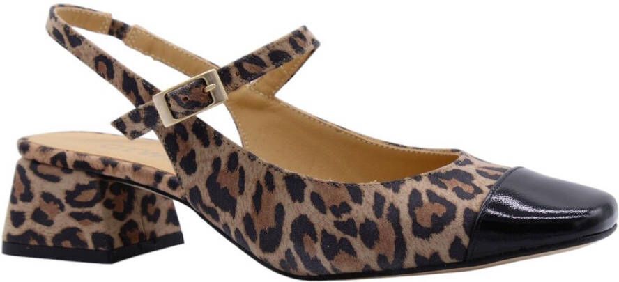 CTWLK Mary Jane Ballerina Leopard Print