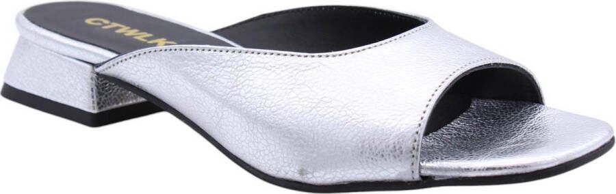 Ctwlk. Stijlvolle Muiltjes Nalos Collectie Gray Dames