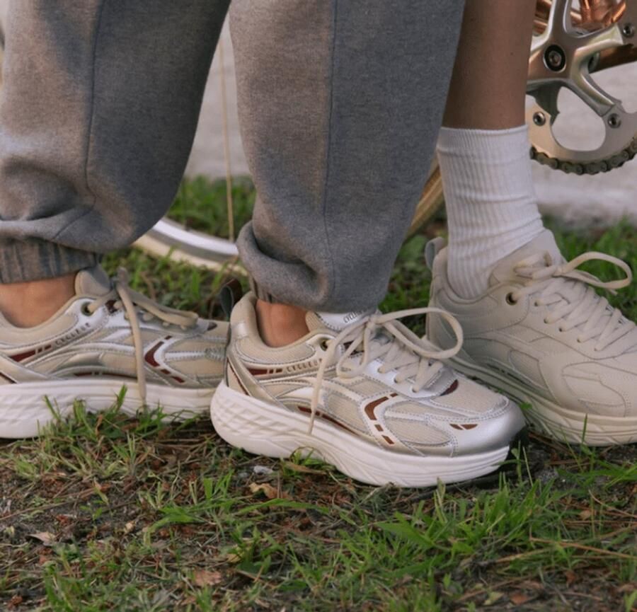Cycleur De Luxe Cdl Dames Running Zilver