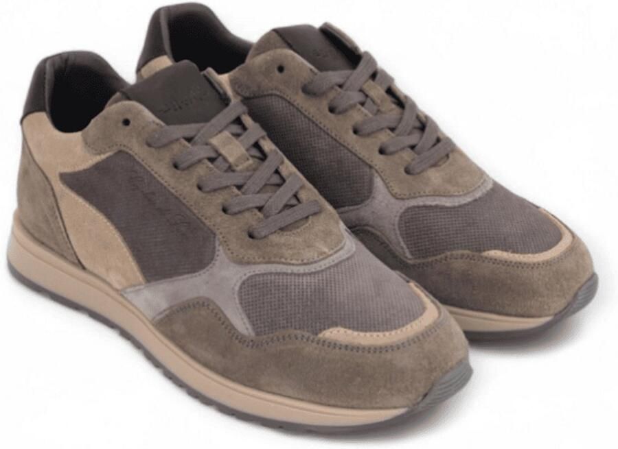 Cycleur De Luxe Cdl Heren Sneaker Chicory Multicolour