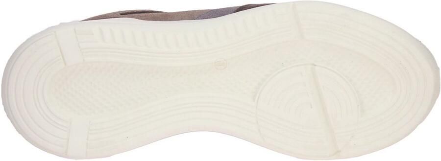 Cycleur De Luxe RP2 Chicory Coffee Anthracite