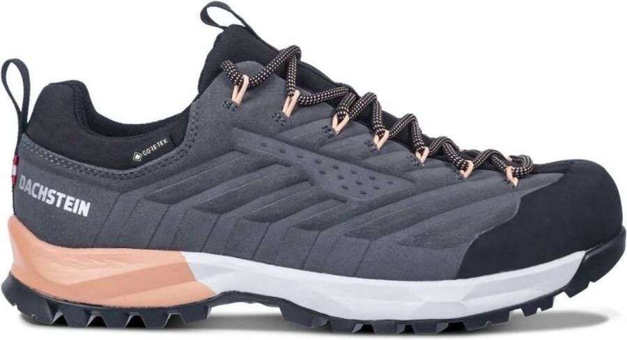 Dachstein Women's SF-21 GTX Multisportschoenen blauw