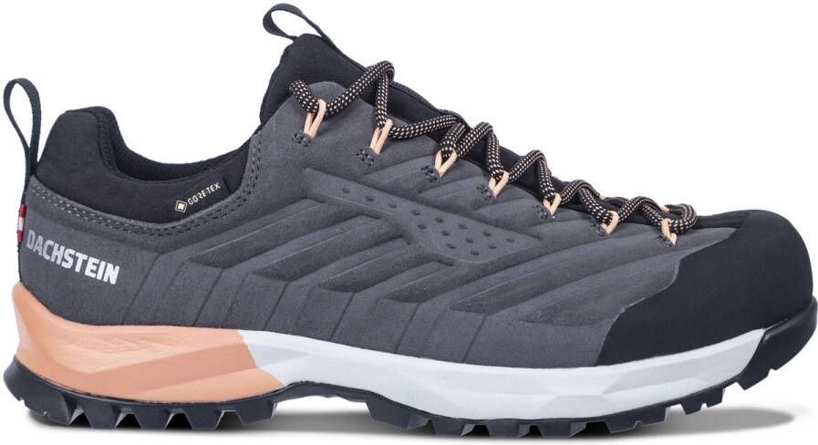 Dachstein Vrouwelijke wandelschoenen Sf-21 Gtx