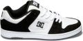 DC Shoes Sneakers Baskets teca 4 cuir - Wit