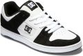 DC Shoes Sneakers Baskets teca 4 cuir - Wit