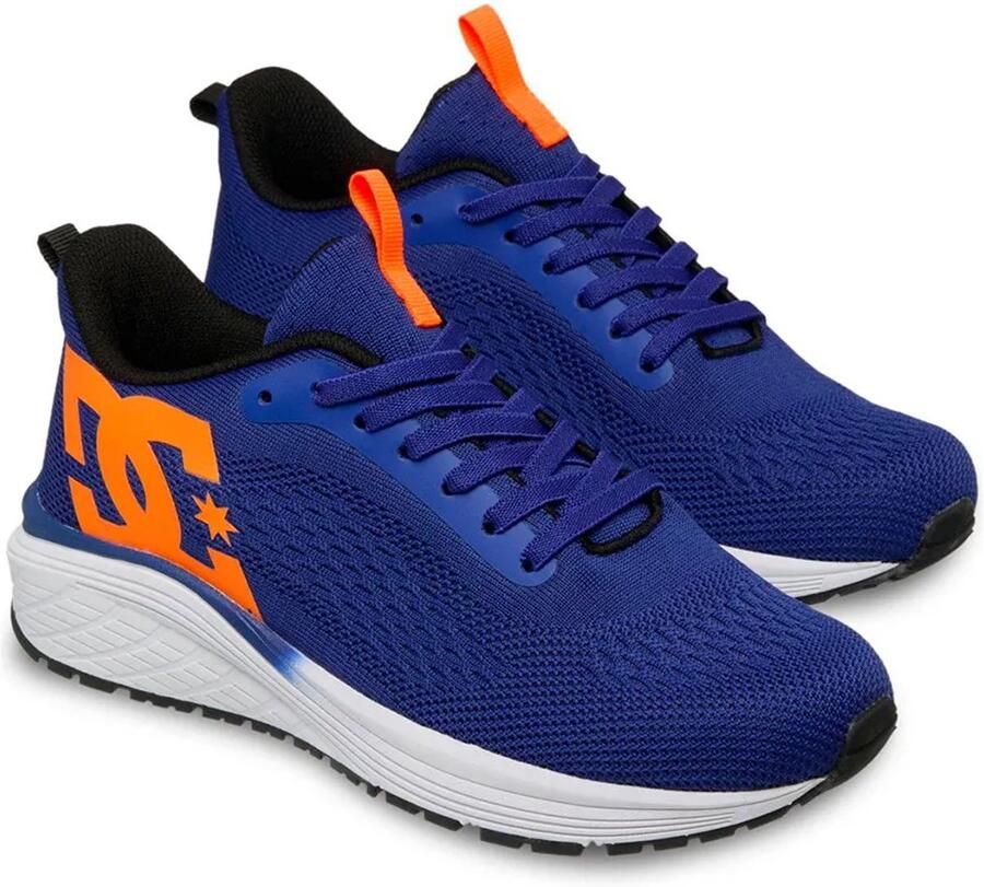 DC Shoes Roammax Schoenen Blauw Jongen