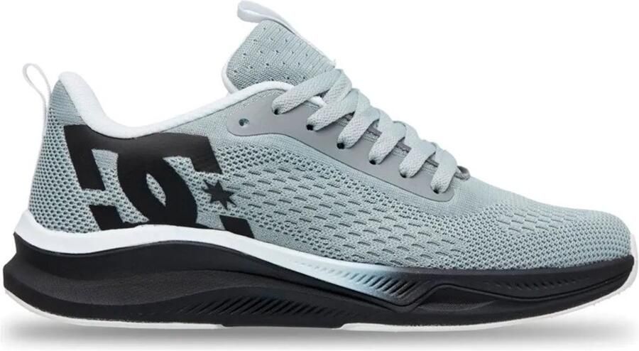 DC Shoes Roammax Schoenen Grijs 1 2 Man