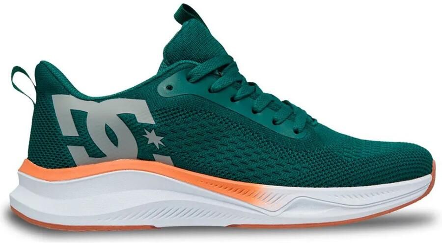 DC Shoes Roammax Schoenen Groen Man
