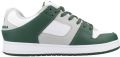 DC Shoes Lage Sneakers Shoes Manteca SE - Groen